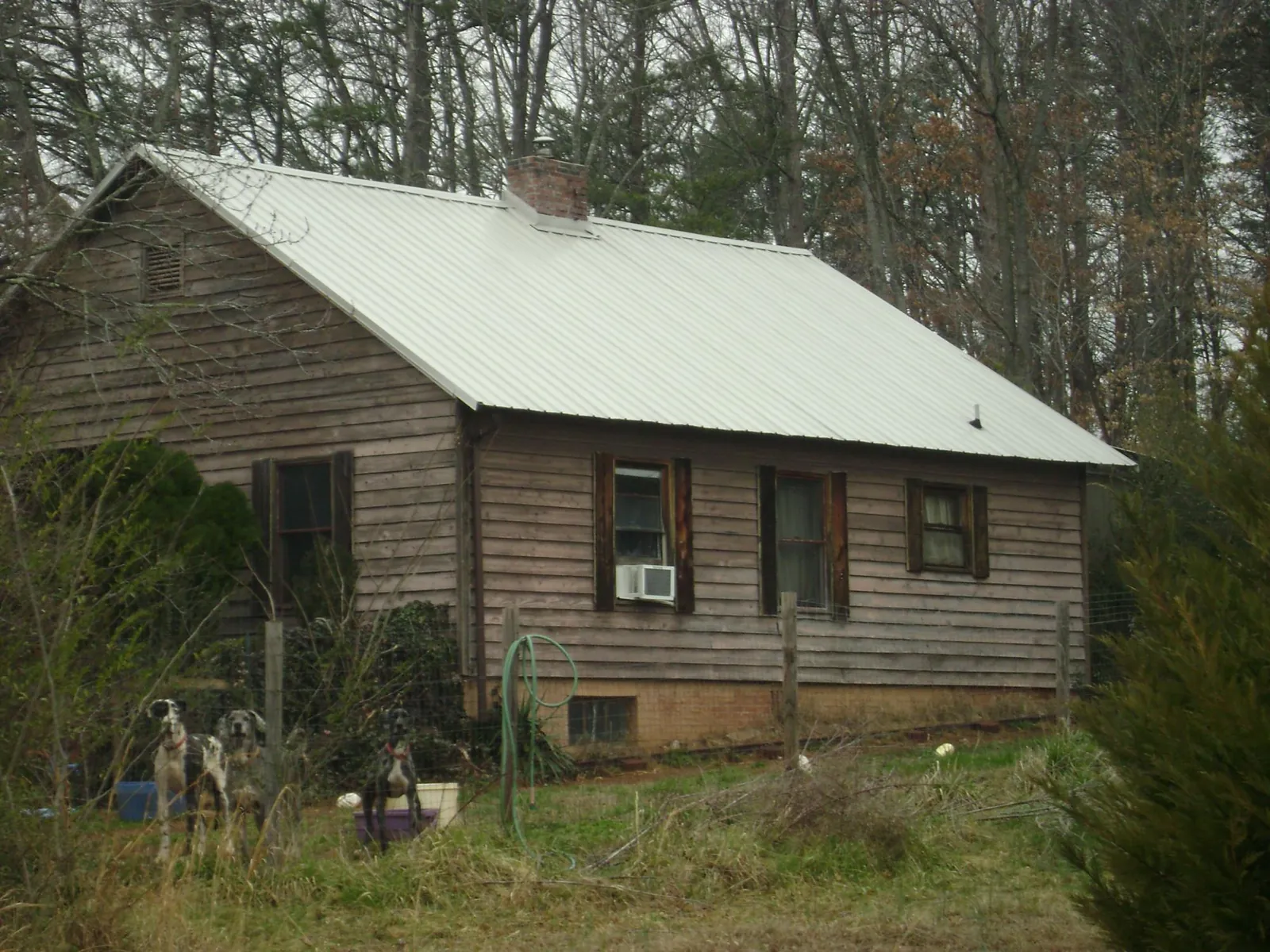 White metal roof on an old wood sided farmhouse, from a Asphalt Shingle Roof Repair job in Big Sandy